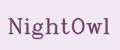 NightOwl