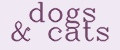 DOGS&CATS