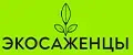 Экосаженцы