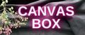 CANVAS BOX