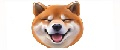 Shiba Smile