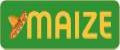 MAIZE