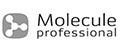 Molecule Professional