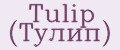 Аналитика бренда Tulip (Тулип) на Wildberries
