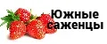 Южные саженцы