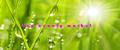 Eco Beauty Market
