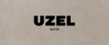 uzel.master