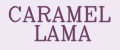 Аналитика бренда CARAMEL LAMA на Wildberries