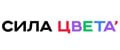 Сила Цвета
