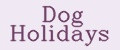 Аналитика бренда Dog Holidays на Wildberries