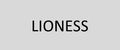 Аналитика бренда LIONESS на Wildberries