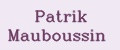 Patrik Mauboussin