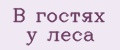 В гостях у леса