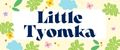 Аналитика бренда Little Tyomka на Wildberries