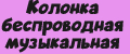 Колонка беспроводная музыкальная