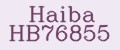 Haiba HB76855