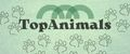 TopAnimals