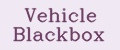 Vehicle Blackbox