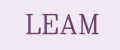LEAM
