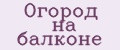 Огород на балконе