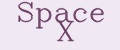 Space X