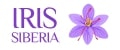 Iris Siberia