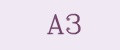 A3