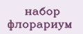 набор флорариум