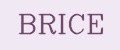 BRICE