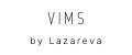 VIMS by Lazareva