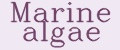 Marine algae