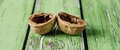 WALNUT SHELL