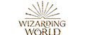 wizarding world