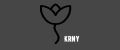 KRNY cosmetics professional