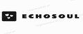 EchoSoul