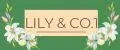 Lily & CO.1