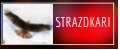 Strazdkari