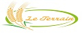 LE TERRAIN