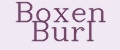 Boxen Burl