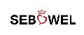 Аналитика бренда SEBOWEL на Wildberries