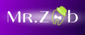Mr.Zub