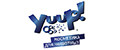 Аналитика бренда Yuup на Wildberries