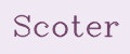 Scoter