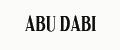 Аналитика бренда Abu Dabi на Wildberries