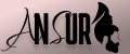 AnSur
