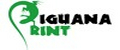 Iguana Print
