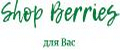 Аналитика бренда Shop berries на Wildberries