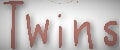 Twins Textile
