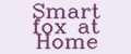 Smart fox at Home