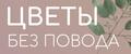 Цветы без повода